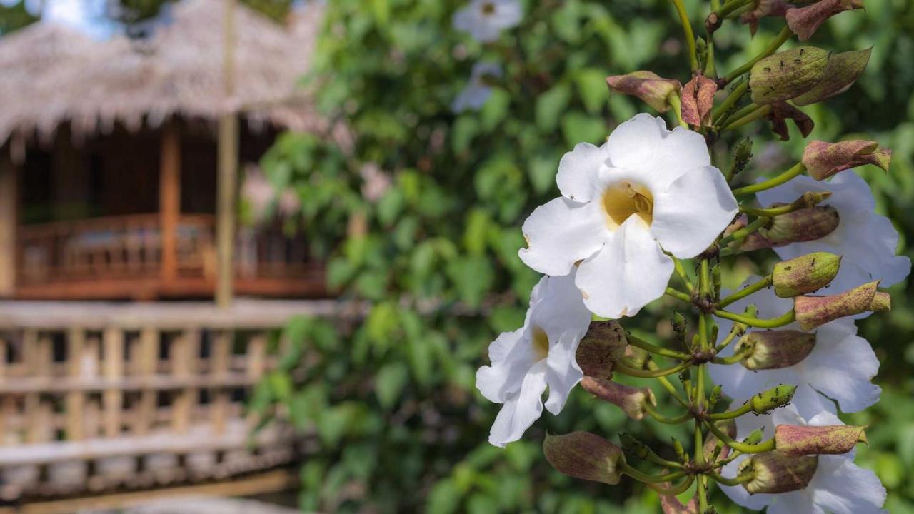 Onong'S Homestay & Cafe 토모혼 외부 사진